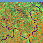 Google y FAO presentan una nueva herramienta de macrodatos para todos