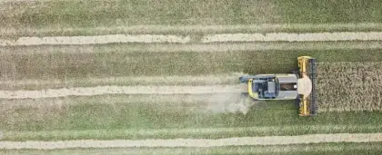 Así es como la tecnología digital puede acelerar la sostenibilidad alimentaria