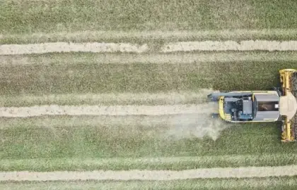 Así es como la tecnología digital puede acelerar la sostenibilidad alimentaria