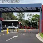 Egresados de la UNA en sistemas y finanzas encuentran empleo en Corredores y Golfito