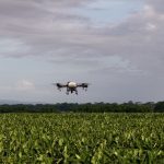 Procomer y Corbana impulsan formación especializada en drones y agricultura de precisión para el sector bananero