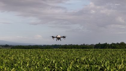 Procomer y Corbana impulsan formación especializada en drones y agricultura de precisión para el sector bananero
